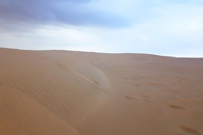 4 Days Tour In Doha | City Tour | North Tour | Desert Safari | West Tour - Guides and comfort: private transport plus real human touches