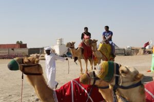 4 Hour Desert Safari, Camel Ride & Inland Sea Beach - 4WD land cruisers and the rollercoaster of dune bashing