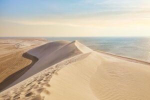 4 Hour Doha Desert Safari Tour - The Guides: Why Ibrahim, Farhan, Abdulrahman, Omar, and Others Matter