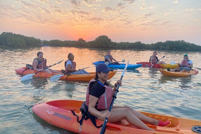 4 Hours Purple Island Mangroves Kayaking Adventure in Qatar - Getting from Doha to Al Khor without wasting time
