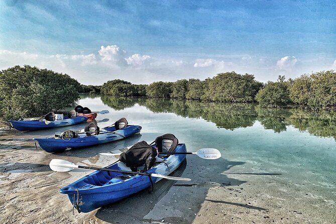 4 Hours Purple Island Mangroves Kayaking Adventure in Qatar - Purple Island (Jazirat Bin Ghanim): birds, ruins, and a real change of scenery