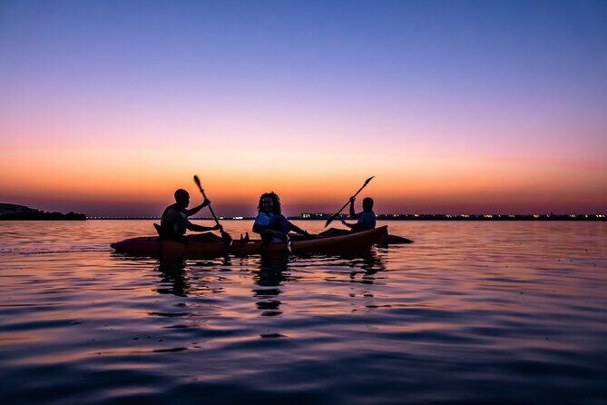 4 Hours Purple Island Mangroves Kayaking Adventure in Qatar - Tide timing: how high vs low tide changes the mangroves