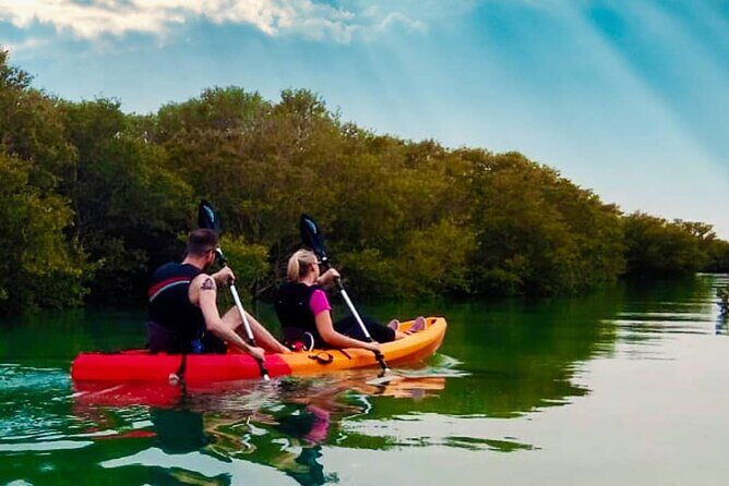 4 Hours Purple Island Mangroves Kayaking Adventure in Qatar - What to bring and how to dress for 4–5 hours