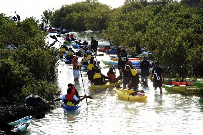 4 Hours Purple Island Mangroves Kayaking Adventure in Qatar - Price and value: is $120 per person worth it?