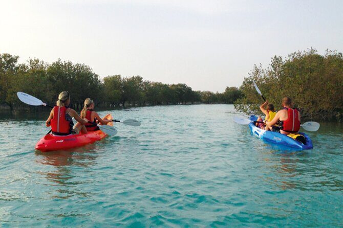 4 Hours Purple Island Mangroves Kayaking Adventure in Qatar - What kayaking on the water feels like (and what you’ll do)