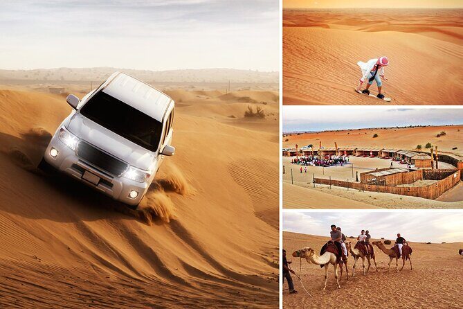 Camel Safari in Desert with Pickup and Drop off in Doha - Camel Safari In Doha: Why This One-Hour Ride Works