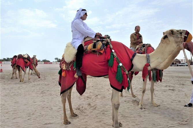 Combo Culture & Adventure: North Qatar Heritage & Desert Safari - Al Khor and Al Thakhira: Coastal Qatar With Local Flavor