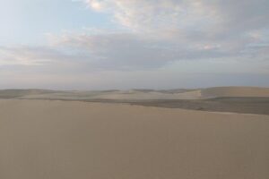 Desert Combo safari, Camel ride, Quad Bike and Dune Bashing(ALL INCLUSIVE) - Quad Biking in Doha: The 30–40 Minute Main Event