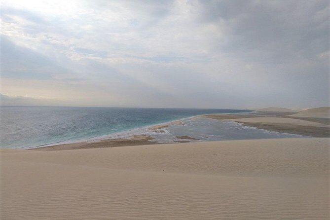 Desert Combo safari, Camel ride, Quad Bike and Dune Bashing(ALL INCLUSIVE) - Camel Ride: Short, Authentic-Feeling, and Very Much a Photo Stop