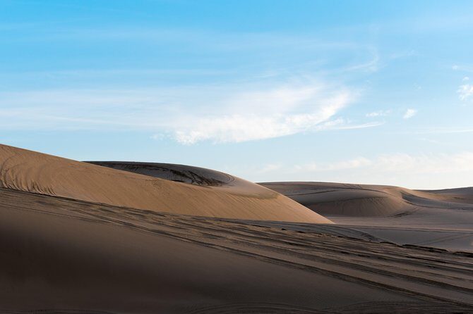 Desert Combo safari, Camel ride, Quad Bike and Dune Bashing(ALL INCLUSIVE) - Guide Quality: The People Who Make It Smooth