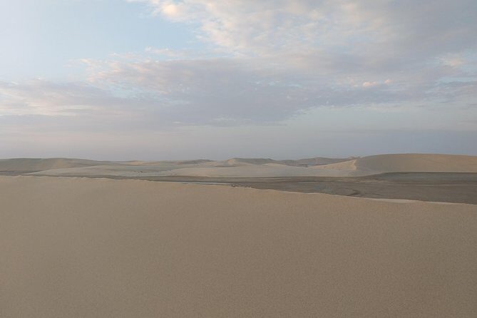 Desert Combo safari, Camel ride, Quad Bike and Dune Bashing(ALL INCLUSIVE) - Quad Biking in Doha: The 30–40 Minute Main Event