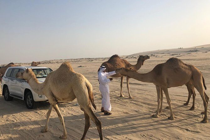 Desert Safari 7 Hours Tour with Dinner and Camp - Inland Sea Sunset: Why This Stop Changes the Whole Tone