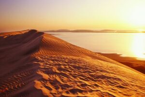 Desert Safari and Inland Sea(Private Tour) - The 4x4 Ride: Dune Bashing and Sand Boarding, Without the Guesswork