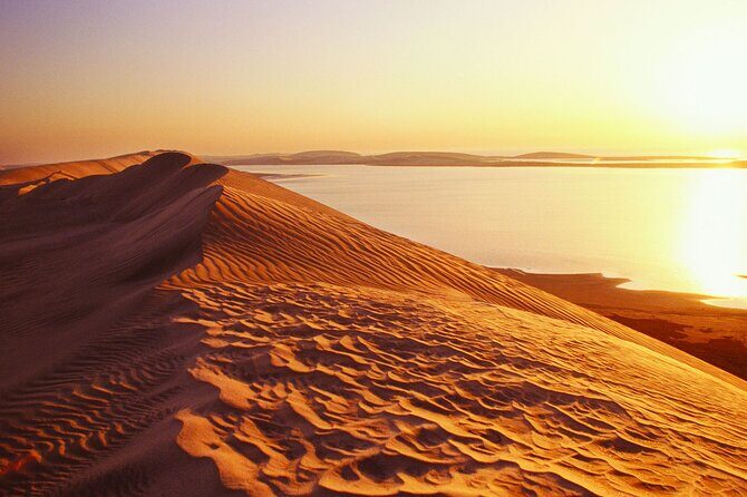 Desert Safari and Inland Sea(Private Tour) - The 4x4 Ride: Dune Bashing and Sand Boarding, Without the Guesswork