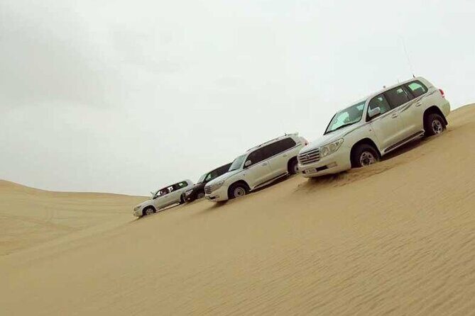 Desert Safari, Camel ride and Inland Sea Tour - Sealine Beach: Camel Photos, Tea, and the Dune-Game Begins