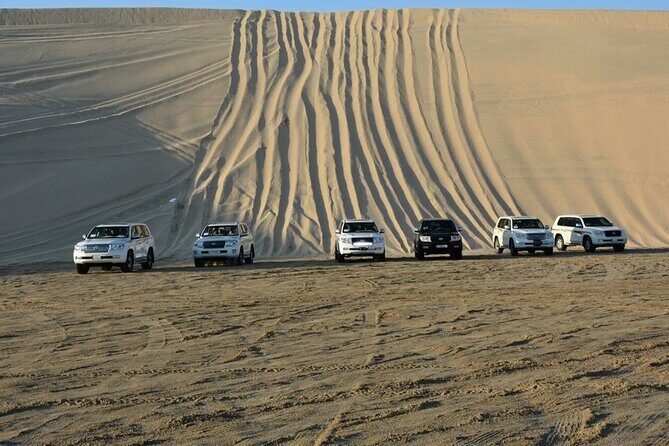 Desert Safari, Camel ride and Inland Sea Tour - The Group Setup: Private Tour Energy Without the Crowd Chaos
