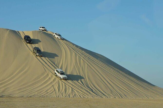 Desert Safari, Camel ride and Inland Sea Tour - Best For: Who Should Book and Who Should Skip