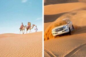 Desert Safari Combo: Camel Ride, Sandboarding & Inland Sea Visit - Sealine Beach First: Desert Gate, Tea Break, and Gulf Coast Views