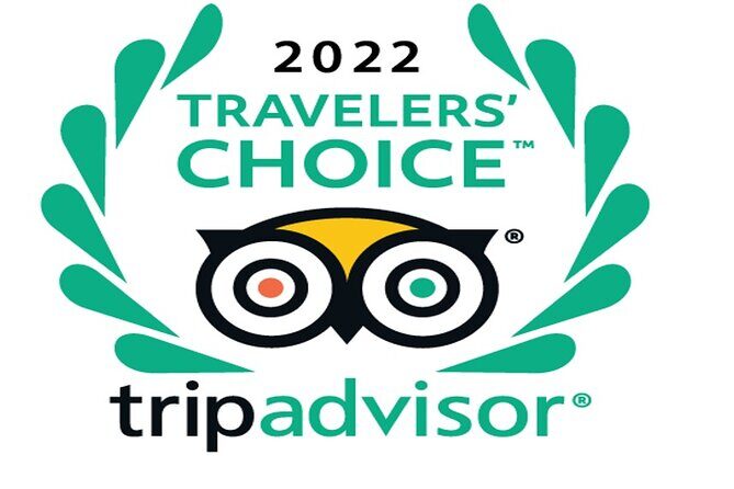 Desert safari, Dune bashing, sandboarding, camel, ATV Option - Key highlights worth knowing
