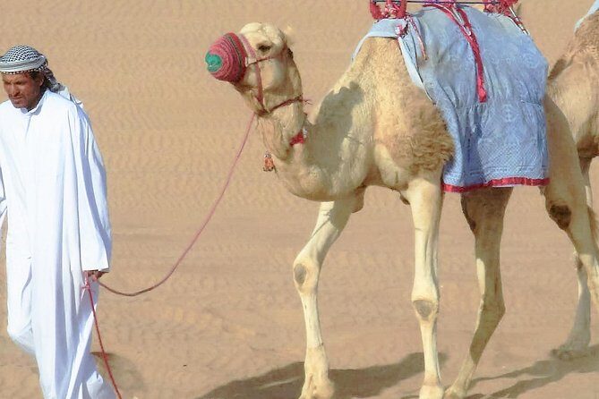 Desert safari, Dune bashing, sandboarding, camel, ATV Option - Dune bashing: the adrenaline part you’ll remember