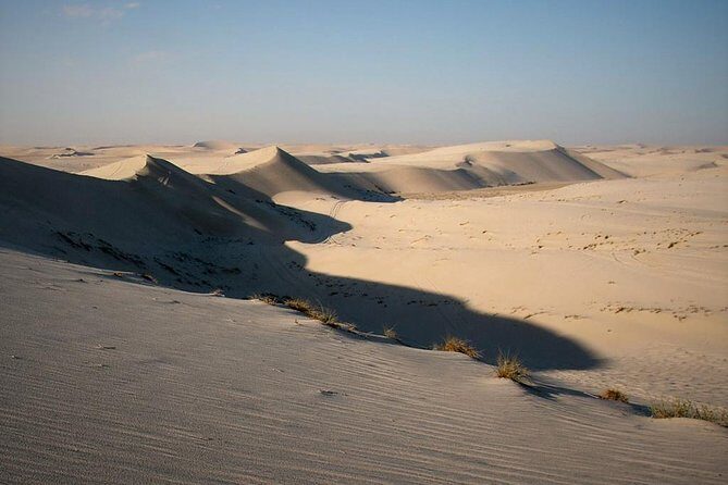 Desert safari, Dune bashing, sandboarding, camel, ATV Option - Sandboarding: short time, real fun, and easy safety basics