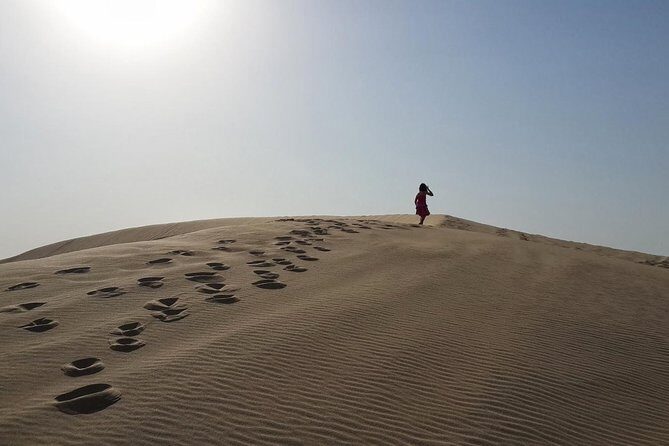 Desert safari, Dune bashing, sandboarding, camel, ATV Option - Camel ride: nice for photos, short in duration