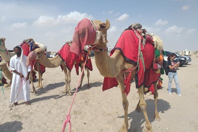 Desert safari, Dune bashing, sandboarding, camel, ATV Option - Inland Sea (Khor Al Adaid): the quiet payoff after the chaos