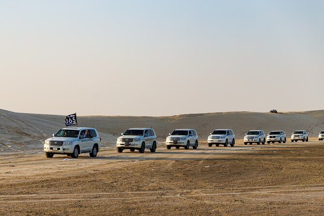Desert Safari + History to Modern City Tour - Driving Past Doha’s Corniche: A Quick Taste of the Coastline
