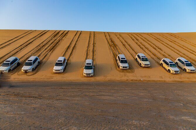 Desert Safari | Inland Sea | Half Day | Qatar | Doha - Who This Tour Fits Best