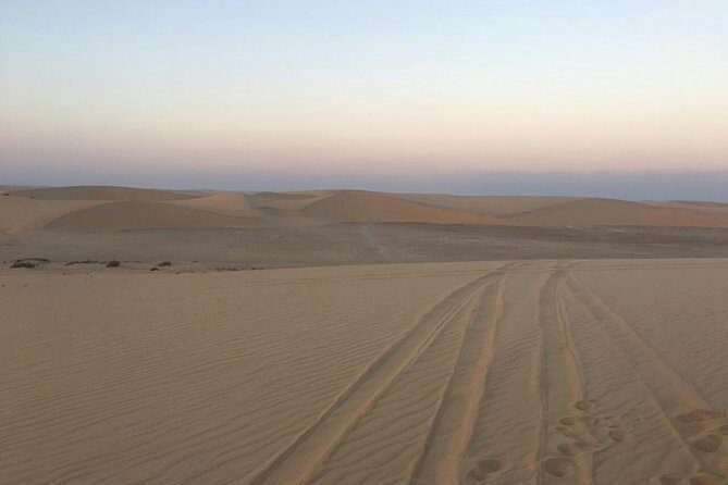 Desert Safari – Morning, Afternoon, Sunrise & Sunset Options - Guides and driving: what the best days tend to feel like