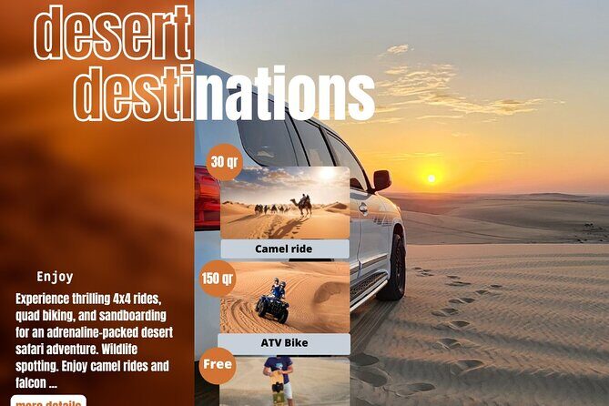 Desert Safari Qatar - What’s Included vs What You May Pay Extra (Camel, Quad, Falcon)