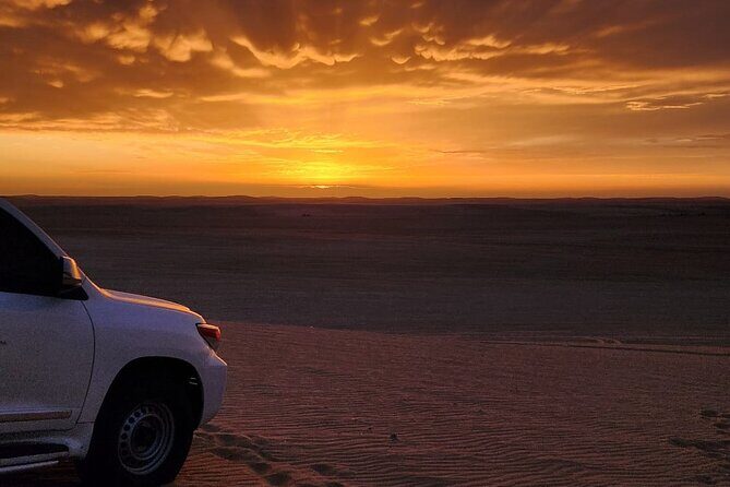 Desert Safari Qatar - Price and Logistics: Is $85 Good Value Here?