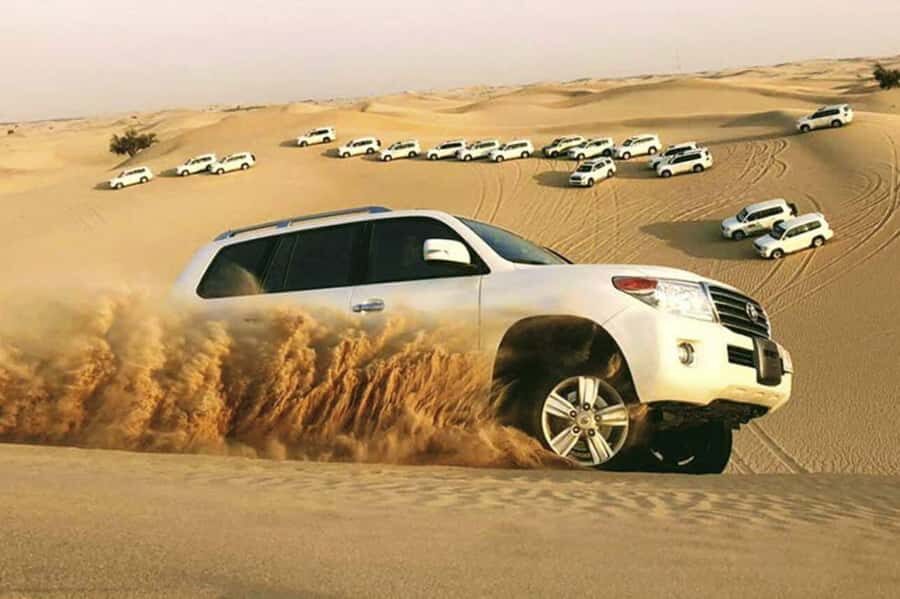 Desert Safari, Quad Bike, Camel Ride, Falcon & Sandboarding - Camel ride, falcon photo, and the camp break at Sealine Beach