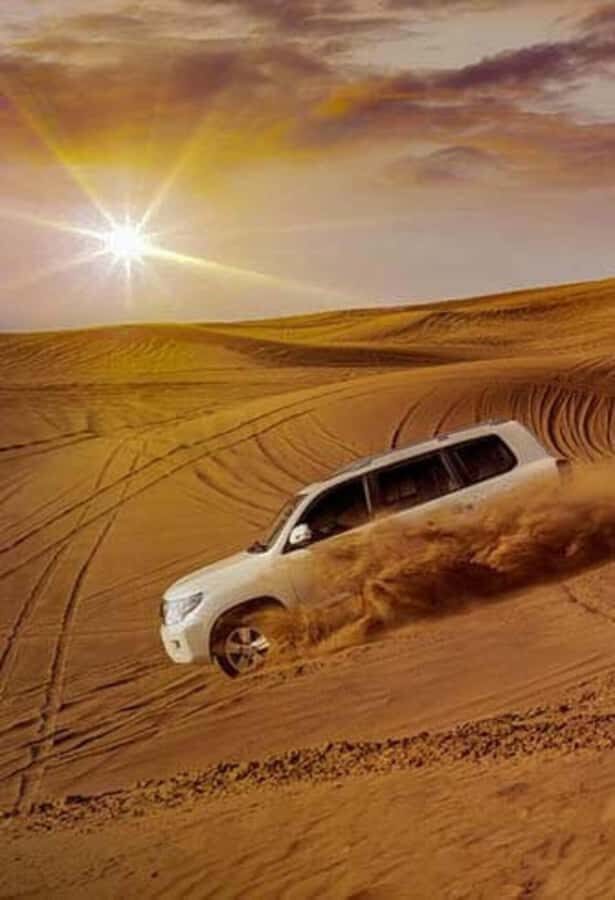 Desert Safari, Quad Bike, Camel Ride, Falcon & Sandboarding - Price and value: why $52 can work (and when it might not)