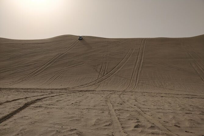 Desert Safari, Quad Bike, Sandboarding and Camel Ride - Camel ride: a quieter contrast to the speed