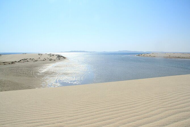 Desert Safari, Quad Bike, Sandboarding and Camel Ride - The Inland Sea photo stop: when the desert turns cinematic