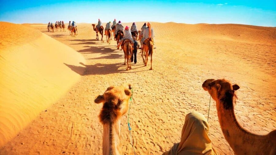 Desert Safari, QuadBike,Dune buggy, Sandboarding & CamelRide - Camel ride: quick, cultural, and surprisingly photogenic