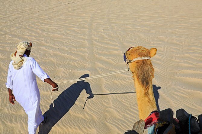 Desert Safari with Camel Ride, Sand Boarding & Inland Sea Tour in Doha - Camel ride: short, photo-friendly, and not a full desert trek