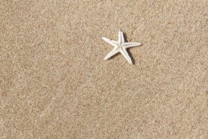 Desert Safari with Sandboarding and Inland Sea Private Tour - Sandboarding: the fun skill you don’t need lessons for
