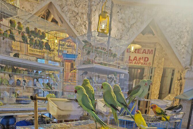 Doha All Inclusive Night City Tour with Traditional Dhow Boat - Stop 7: Lusail and the I Love Lusail Statue—modern energy after dark