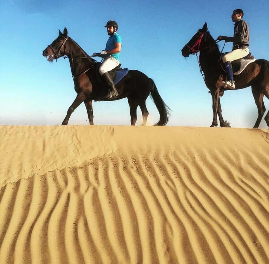 Doha : Arabian Horse Ride Experience With Pickup & Drop Off - Desert Riding Basics: How The Instructor Shapes Your Walk, Trot, Or Canter