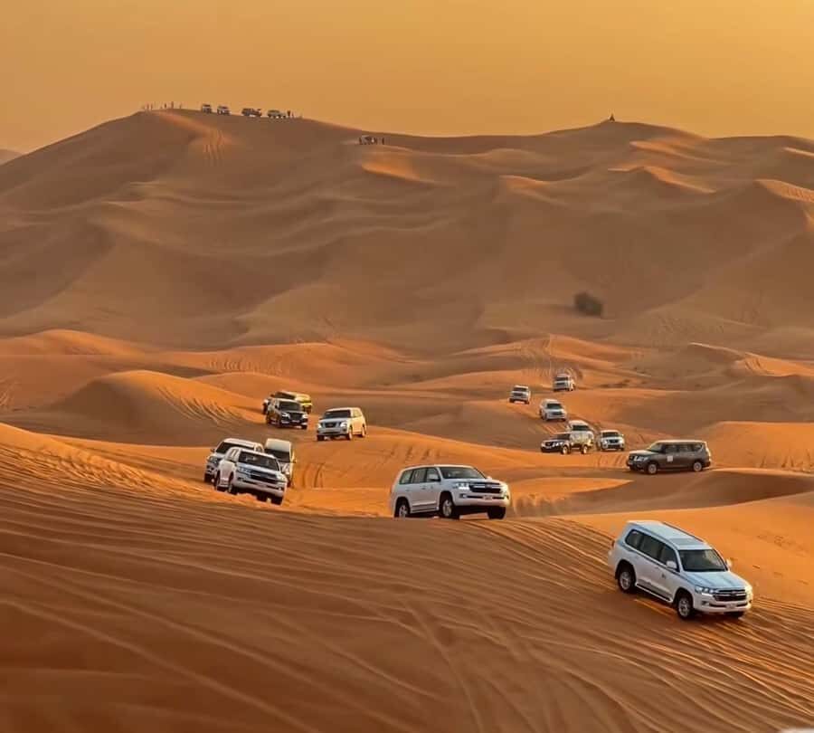 Doha : Arabian Horse Ride Experience With Pickup & Drop Off - What To Pack (And Why It Matters For Comfort)