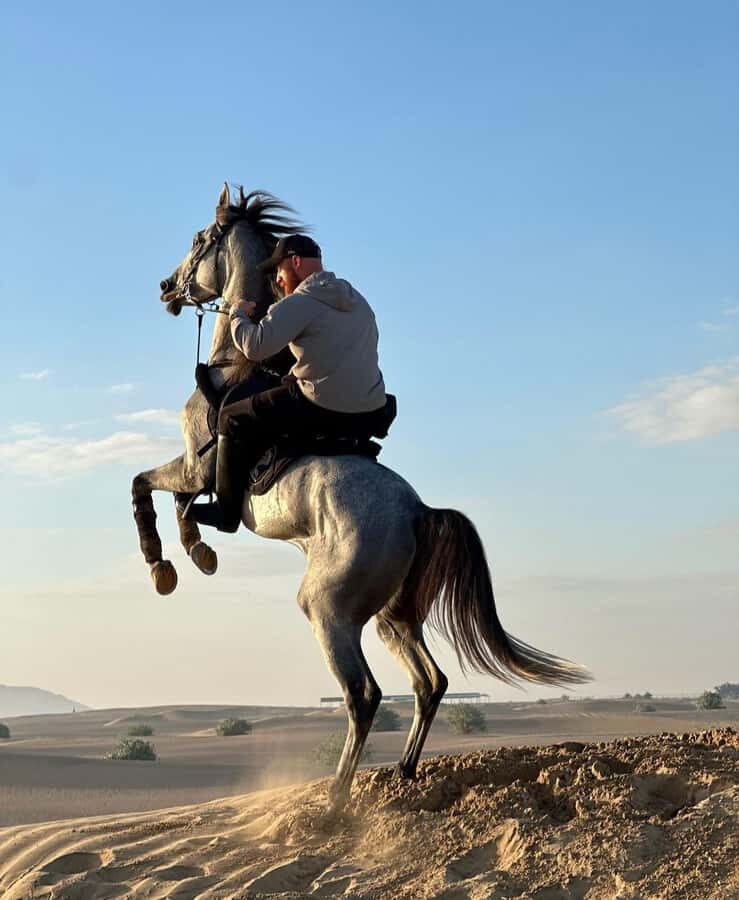 Doha : Arabian Horse Ride Experience With Pickup & Drop Off - Who This Ride Is Best For (And Who Should Skip It)
