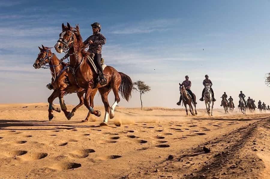 Doha : Arabian Horse Ride Experience With Pickup & Drop Off - At The Equestrian Center: Meeting Your Horse and Getting Your Game Plan