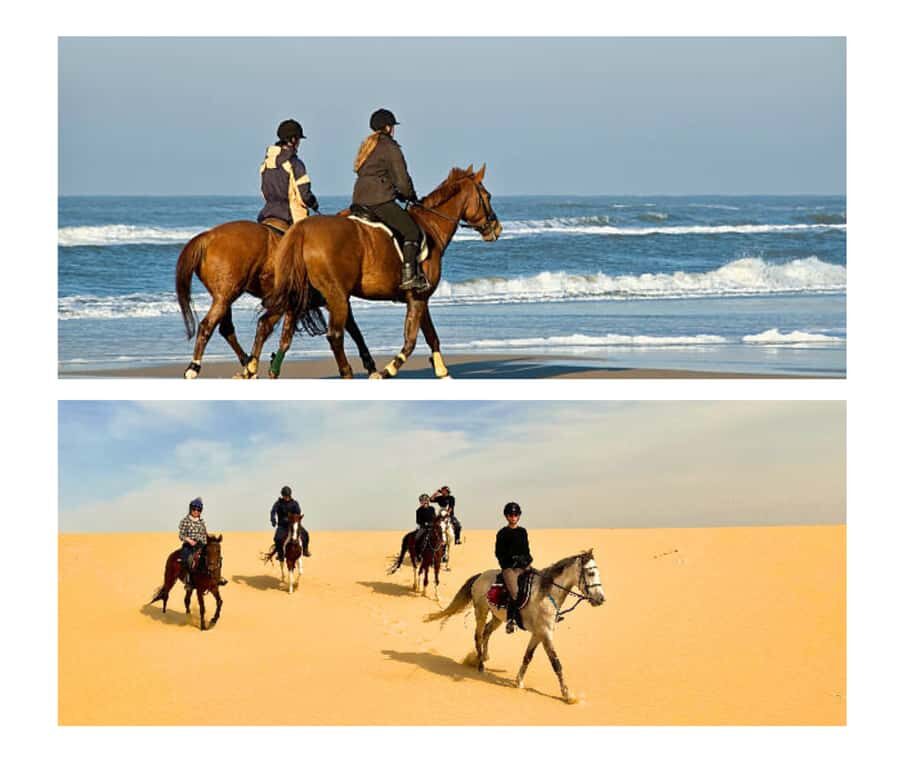 Doha: Arabian Horse Riding Experience –Sea or Desert Options - Key things I’d zero in on