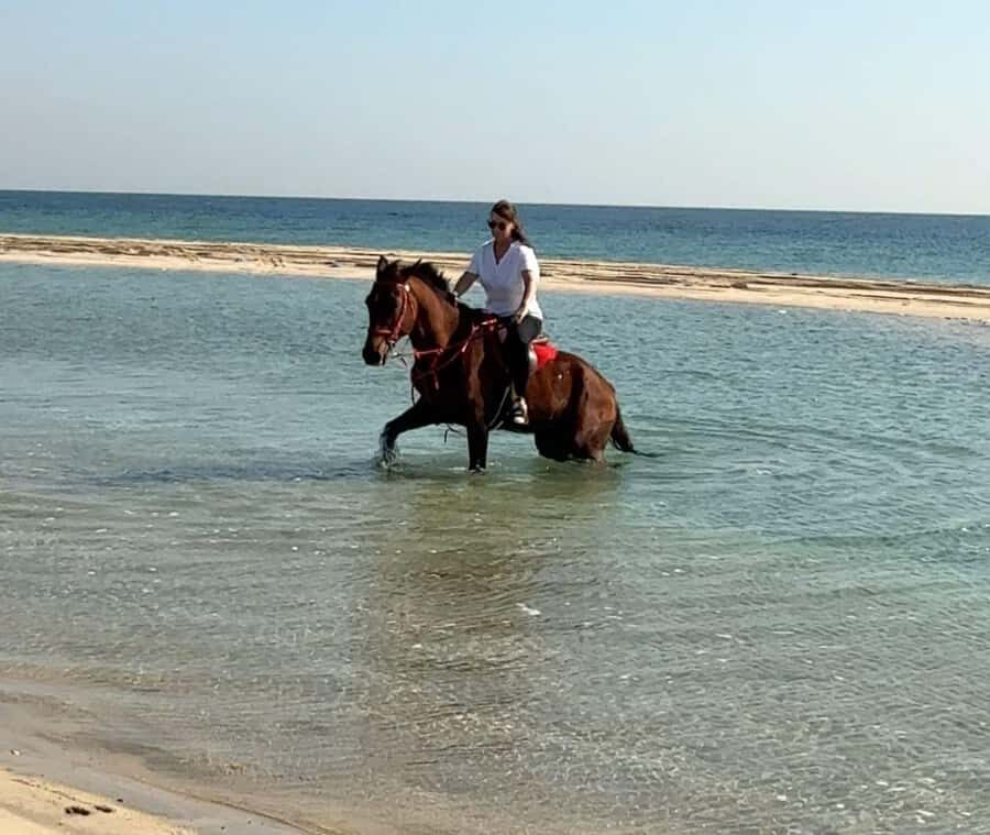Doha: Arabian Horse Riding Experience –Sea or Desert Options - Doha to Mesaieed: The timing that makes this feel easy