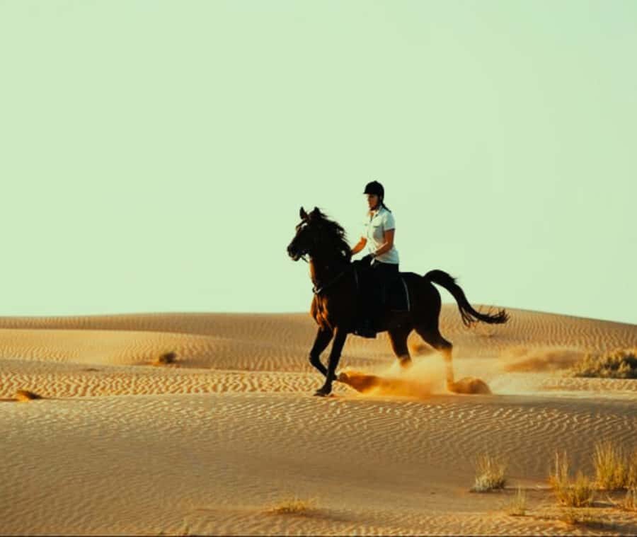 Doha: Arabian Horse Riding Experience –Sea or Desert Options - The guides and hospitality that turn a ride into a story