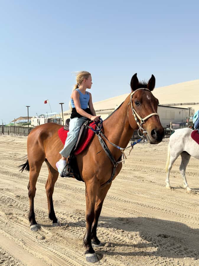 Doha: Arabian Horse Riding Experience –Sea or Desert Options - Getting picked up in Doha: logistics that matter more than you think