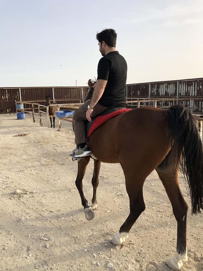 Doha: Arabian Horse Riding Experience –Sea or Desert Options - Optional 4x4 desert safari: the add-on for speed lovers