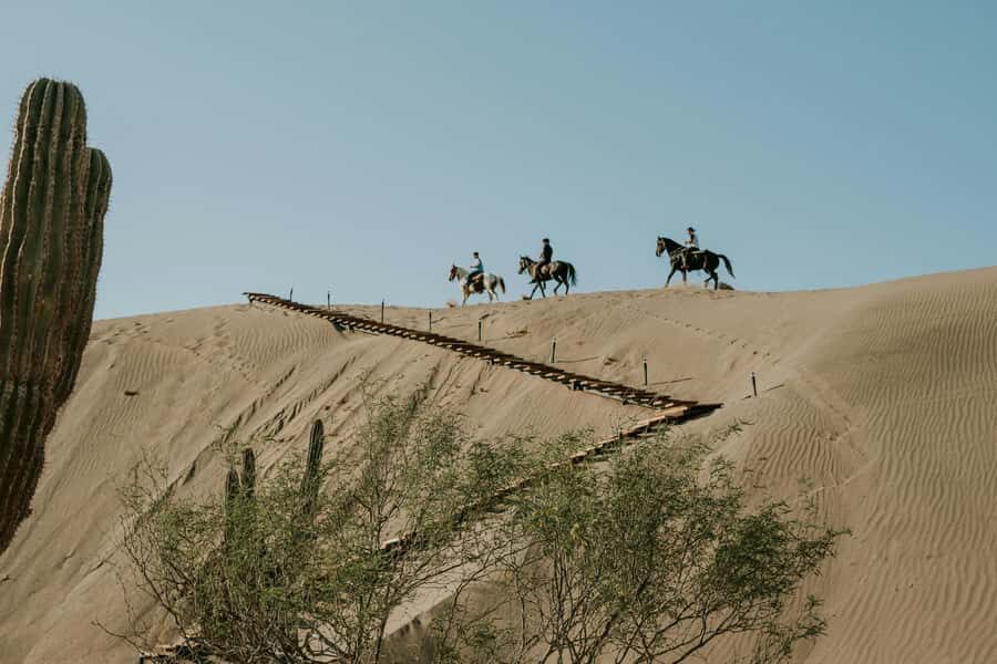 Doha: Arabian Horse Riding Experience –Sea or Desert Options - Is the $123 price fair for what you get?